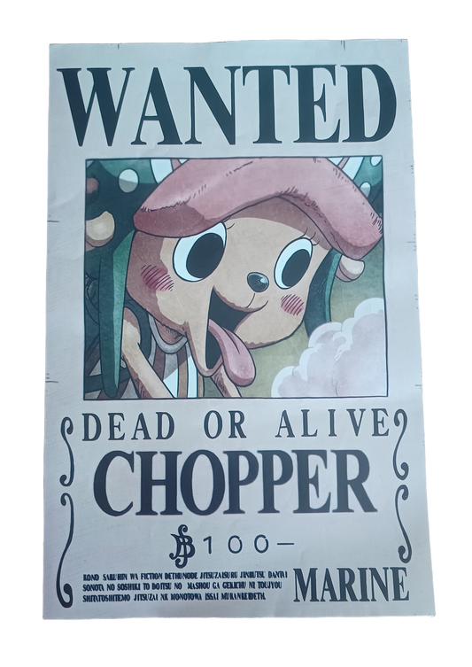 Set de Carteles Coleccionables One Piece Mugiwara