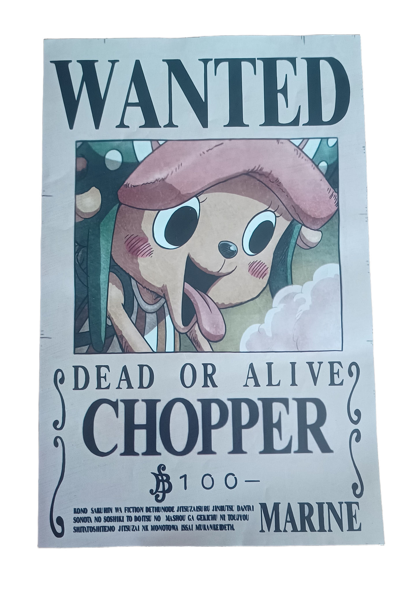 Set de Carteles Coleccionables One Piece Mugiwara