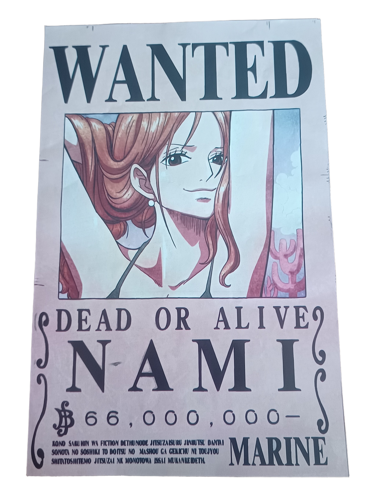 Set de Carteles Coleccionables One Piece Mugiwara
